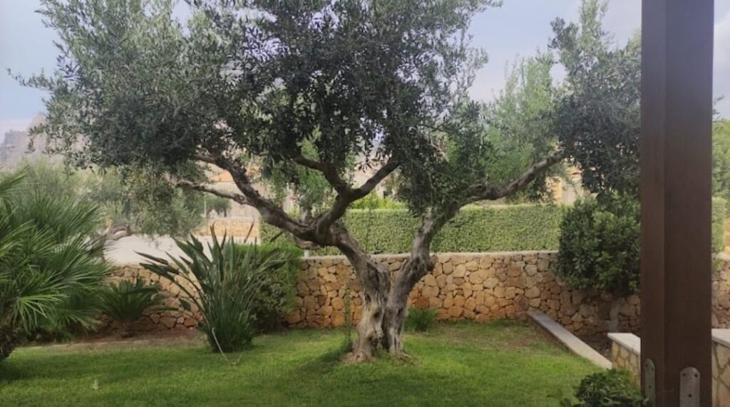 Dovolená s jógou u moře