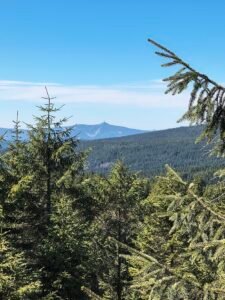 IMG_20260423_121234305_HDR